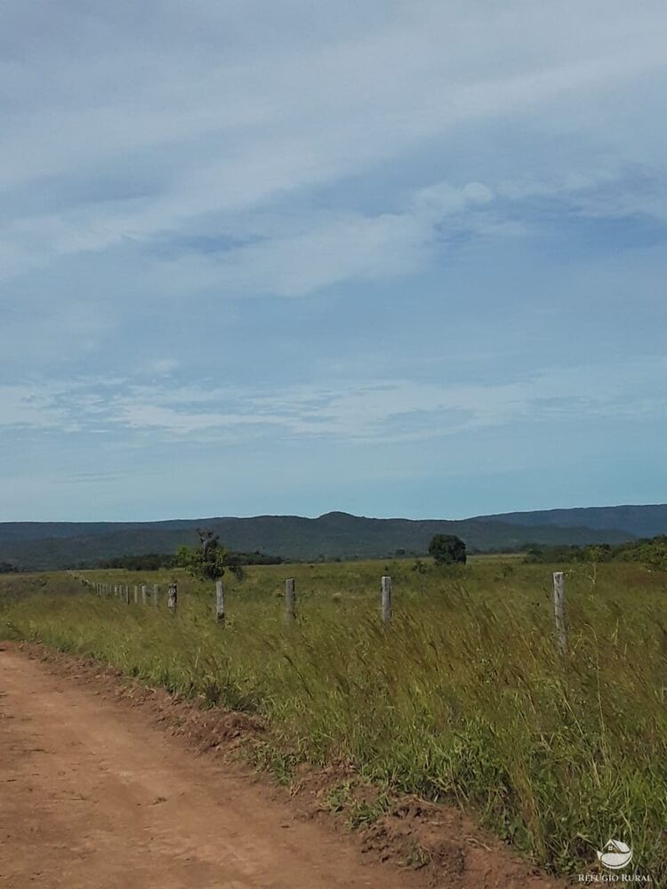 Fazenda à venda com 1 quarto, 74300000m² - Foto 8