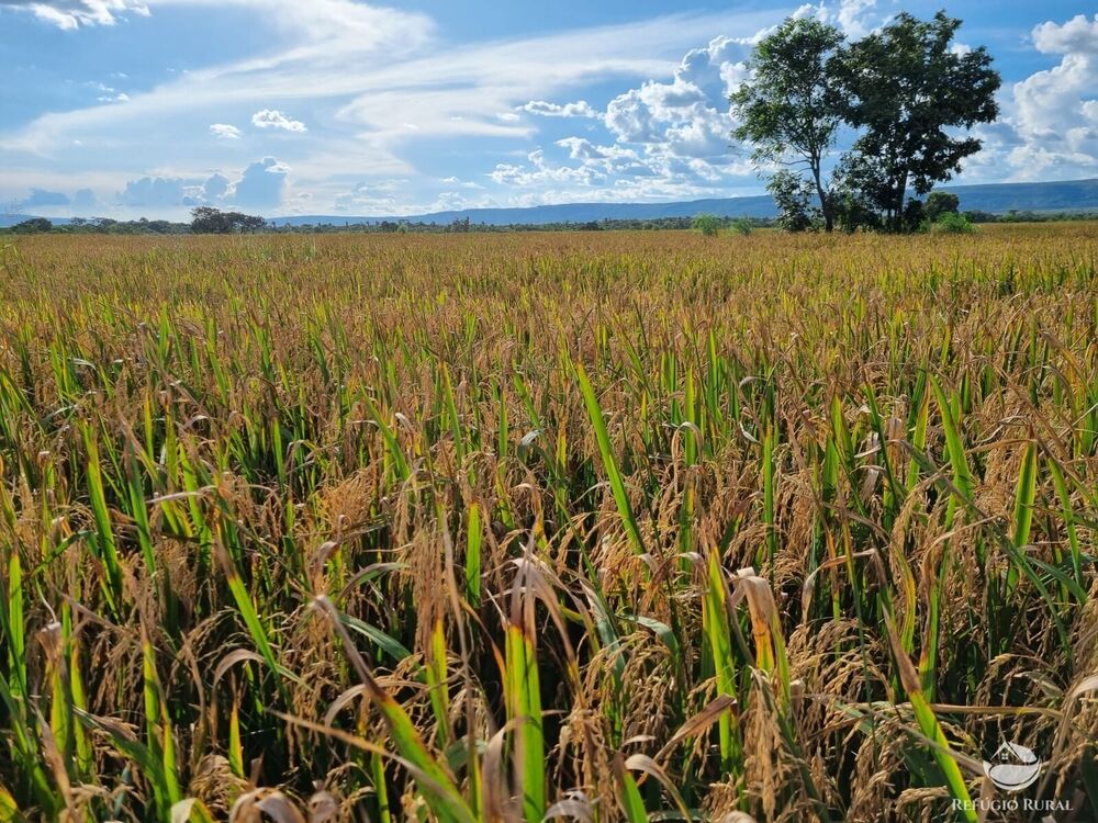 Fazenda à venda com 1 quarto, 74300000m² - Foto 1