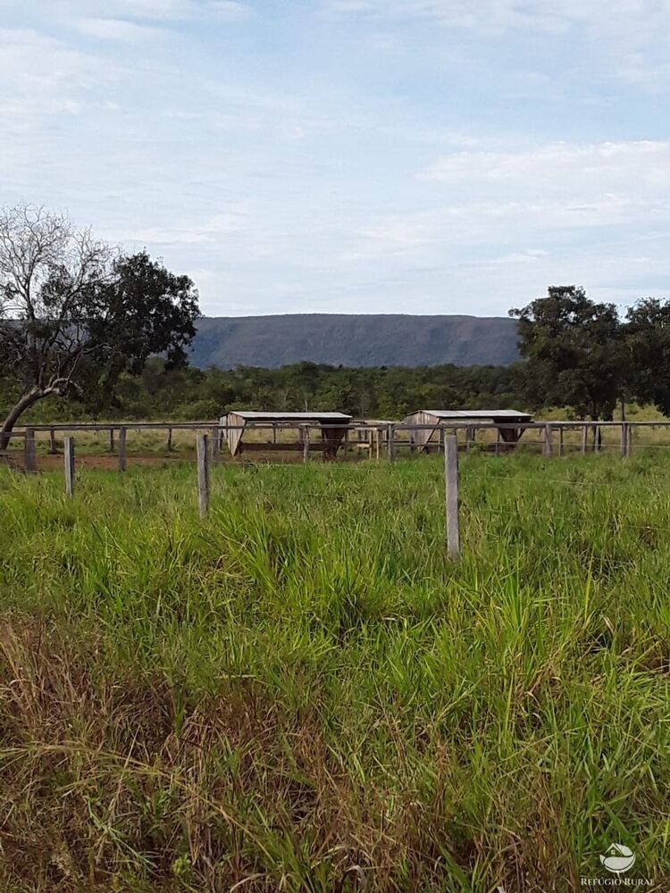 Fazenda à venda com 1 quarto, 74300000m² - Foto 4
