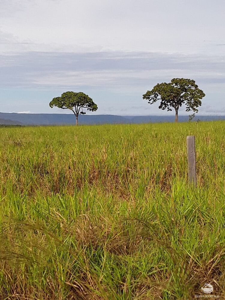 Fazenda à venda com 1 quarto, 74300000m² - Foto 2