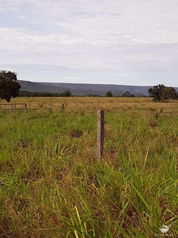 Fazenda à venda com 1 quarto, 74300000m² - Foto 5