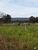 Fazenda, 7430 hectares - Foto 4