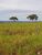 Fazenda, 7430 hectares - Foto 2