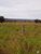Fazenda, 7430 hectares - Foto 5