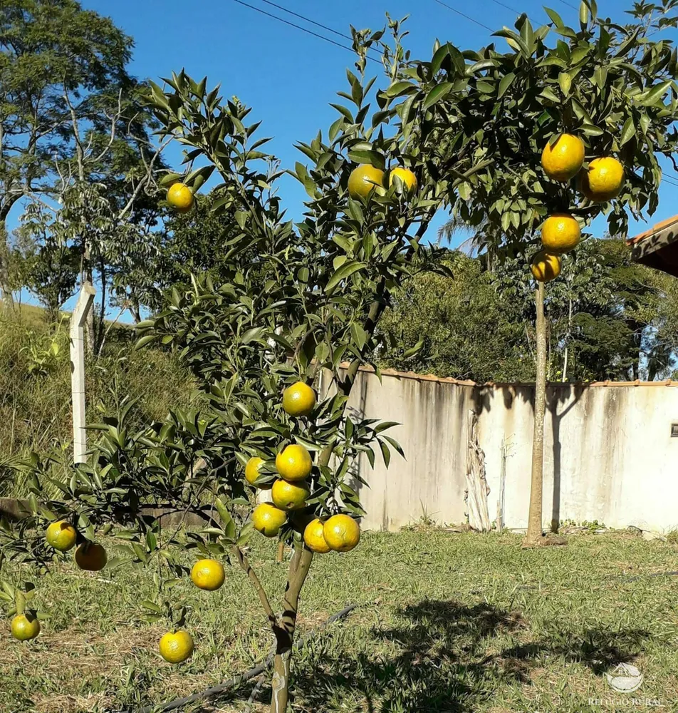 Chácara, 5000 m² - Foto 8