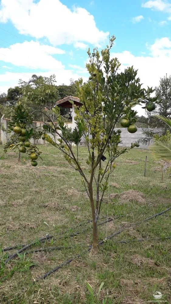 Chácara, 5000 m² - Foto 15