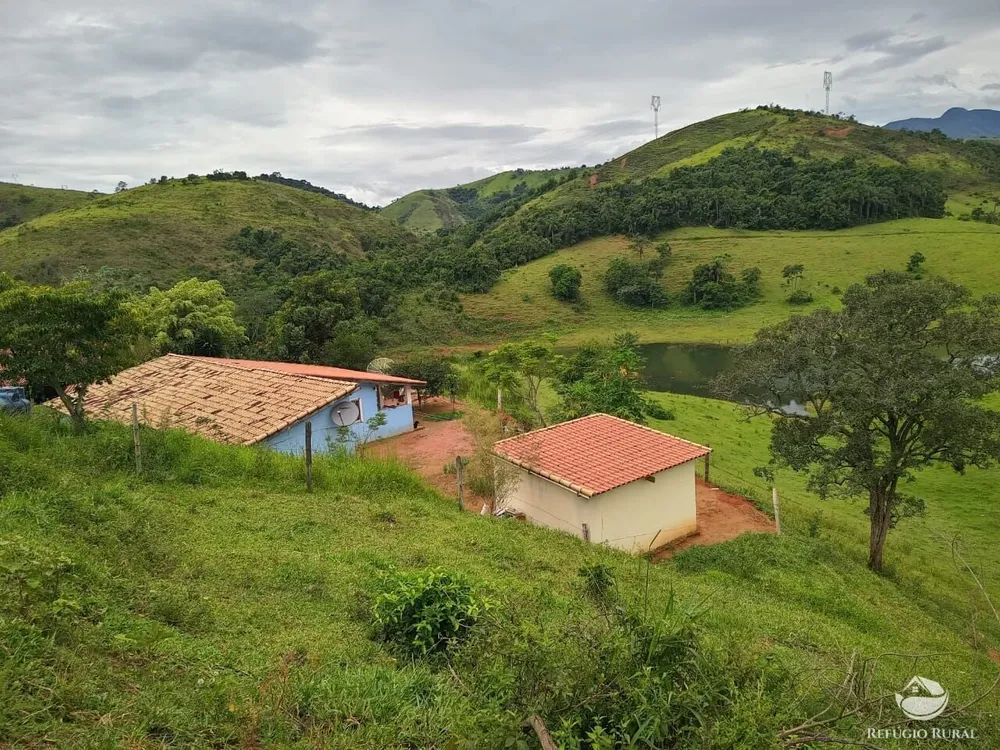 Fazenda, 37 hectares - Foto 4