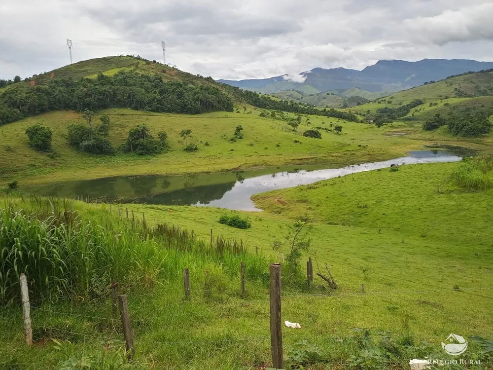 Fazenda, 37 hectares - Foto 18