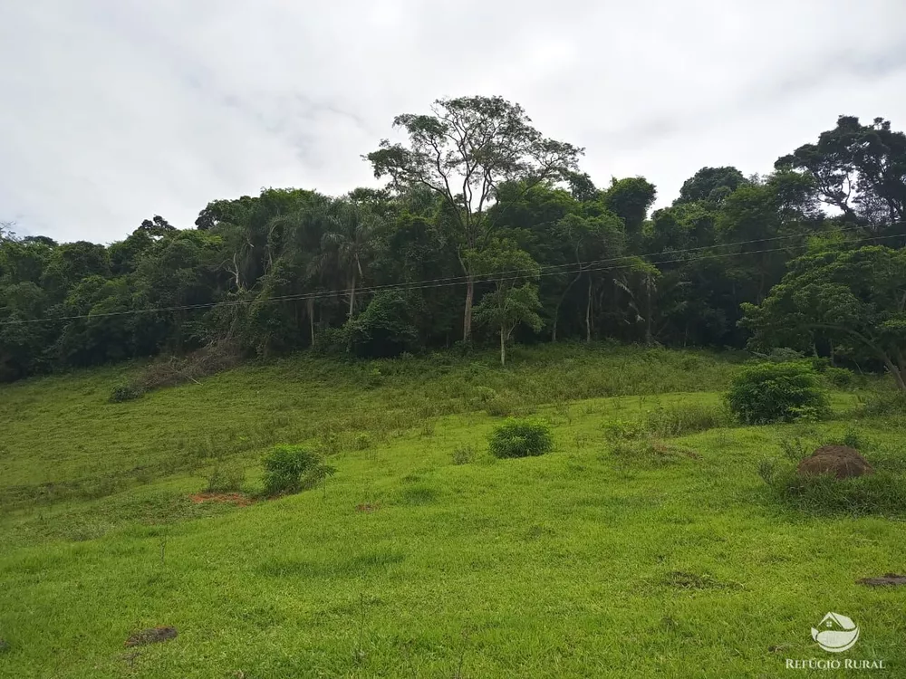 Fazenda, 37 hectares - Foto 11