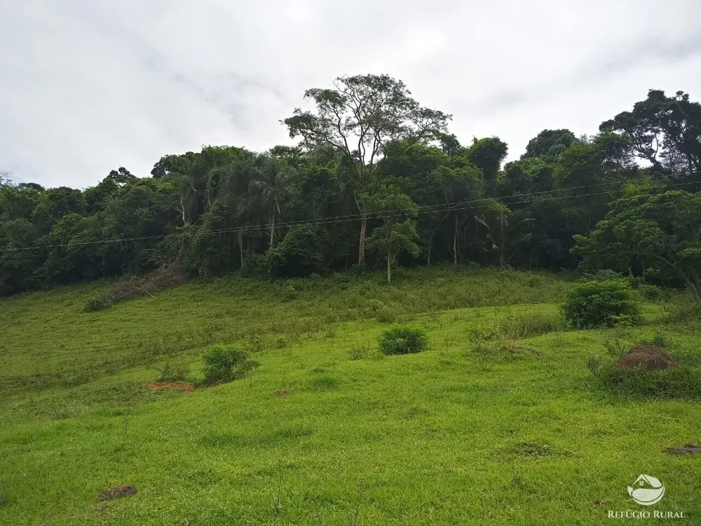 Fazenda, 37 hectares - Foto 7