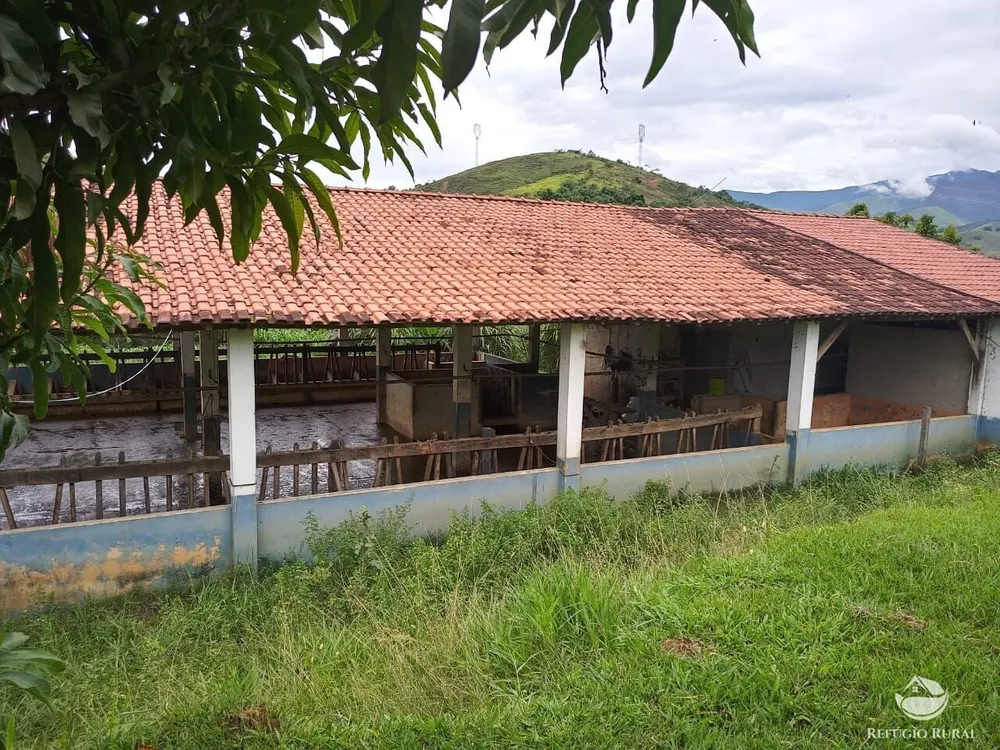 Fazenda, 37 hectares - Foto 22