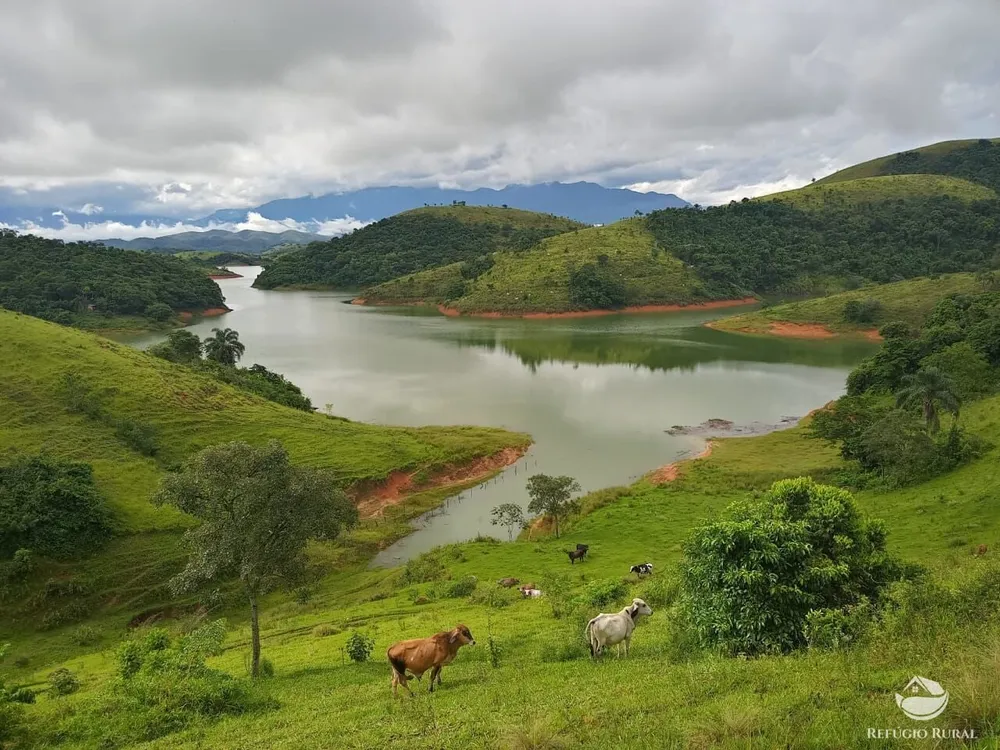 Fazenda, 37 hectares - Foto 1