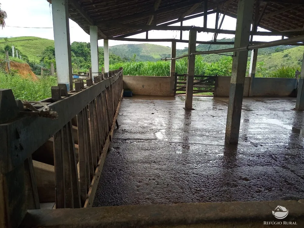 Fazenda, 37 hectares - Foto 24