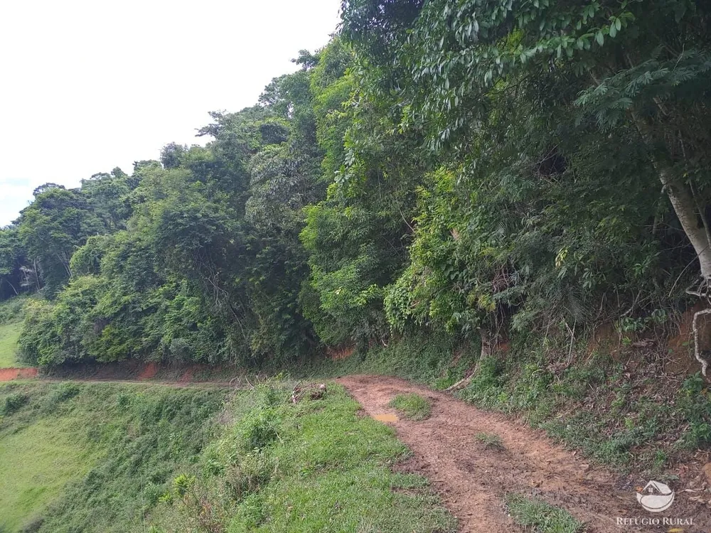 Fazenda, 37 hectares - Foto 10