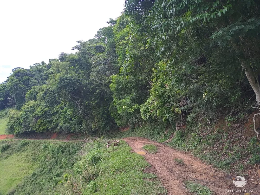 Fazenda, 37 hectares - Foto 5
