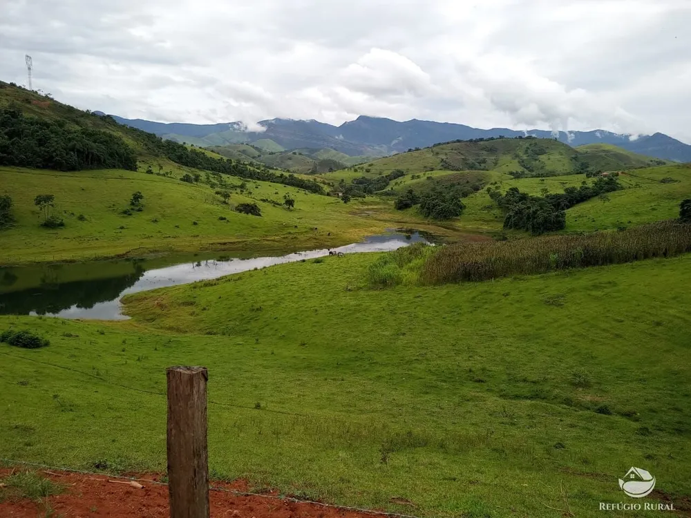 Fazenda, 37 hectares - Foto 6