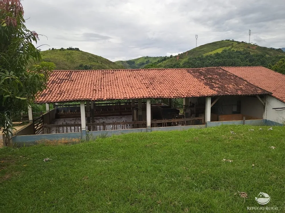 Fazenda, 37 hectares - Foto 16