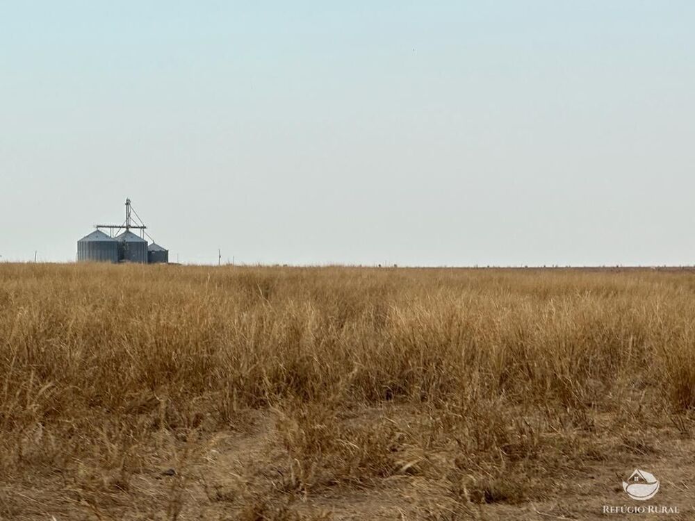 Fazenda, 11000 hectares - Foto 2