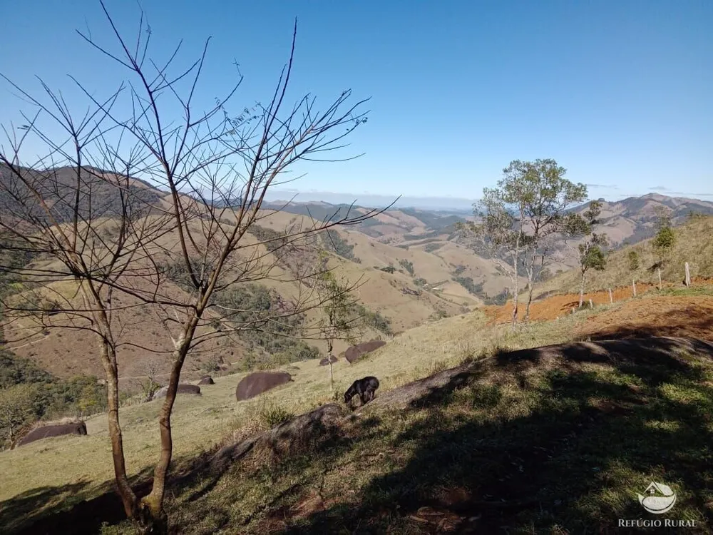 Terreno, 2 hectares - Foto 9