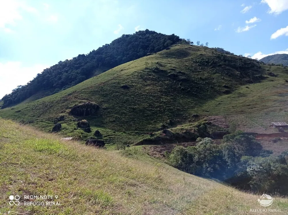 Terreno, 2 hectares - Foto 10