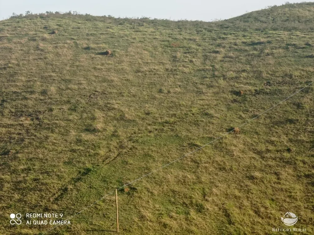 Terreno, 2 hectares - Foto 2