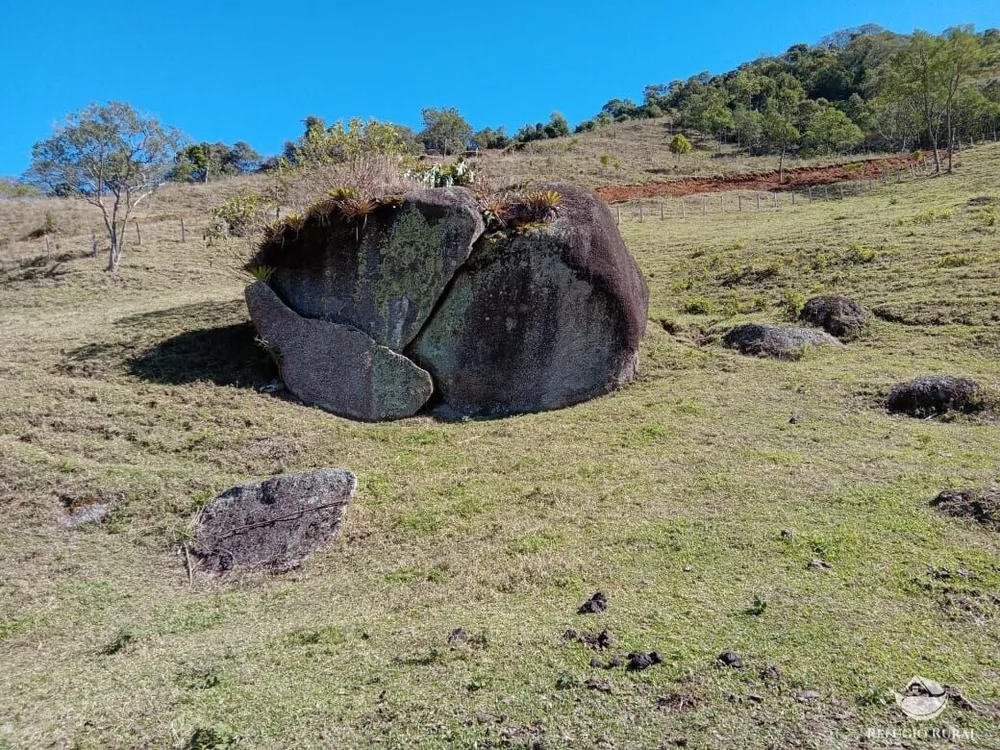 Terreno, 2 hectares - Foto 7