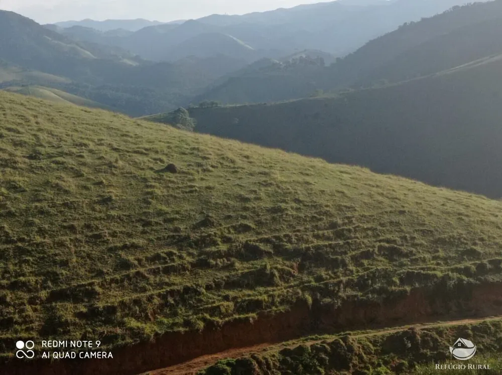 Terreno, 2 hectares - Foto 4