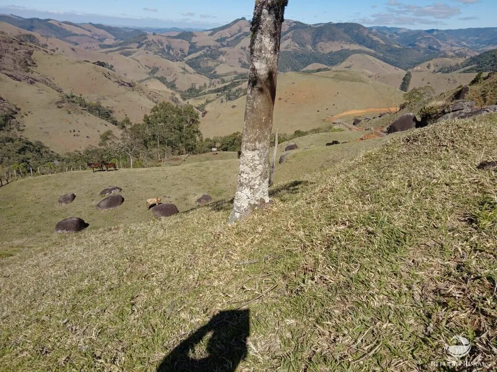 Terreno, 2 hectares - Foto 6