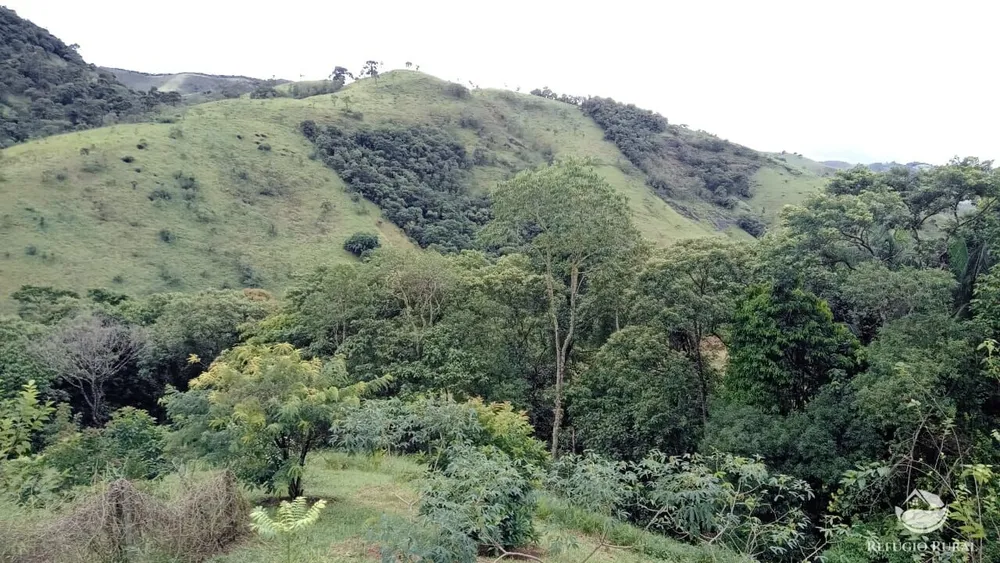 Terreno, 2 hectares - Foto 8