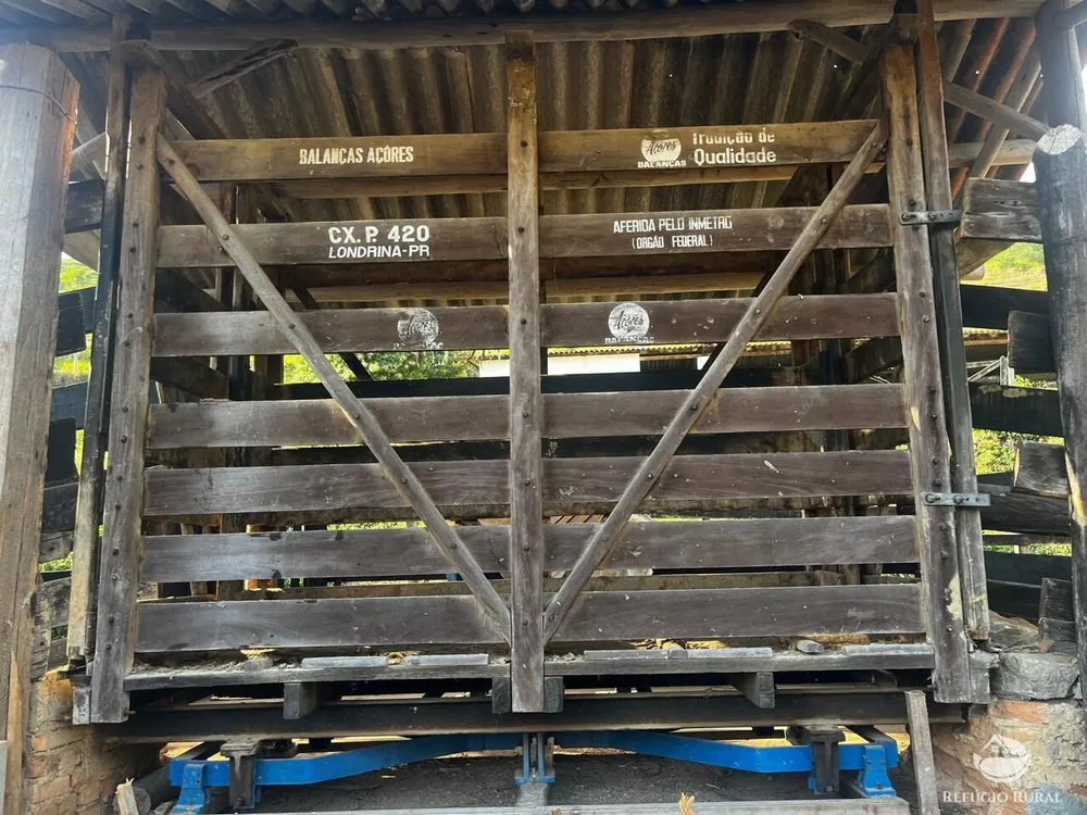 Fazenda, 1186 hectares - Foto 12