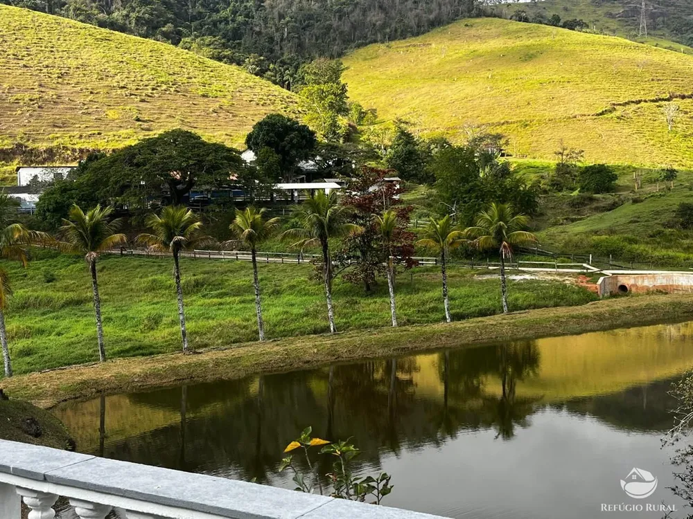 Fazenda, 1186 hectares - Foto 10