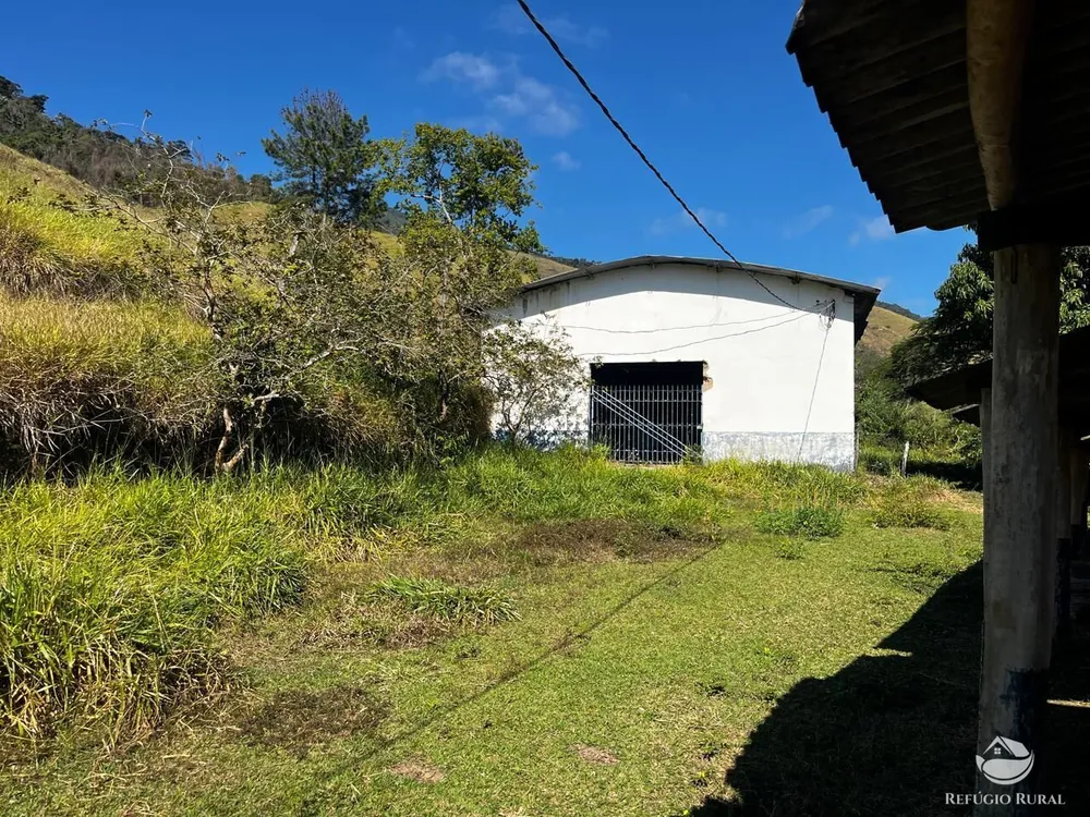 Fazenda, 1186 hectares - Foto 8