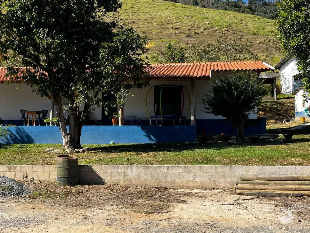 Fazenda, 1186 hectares - Foto 4