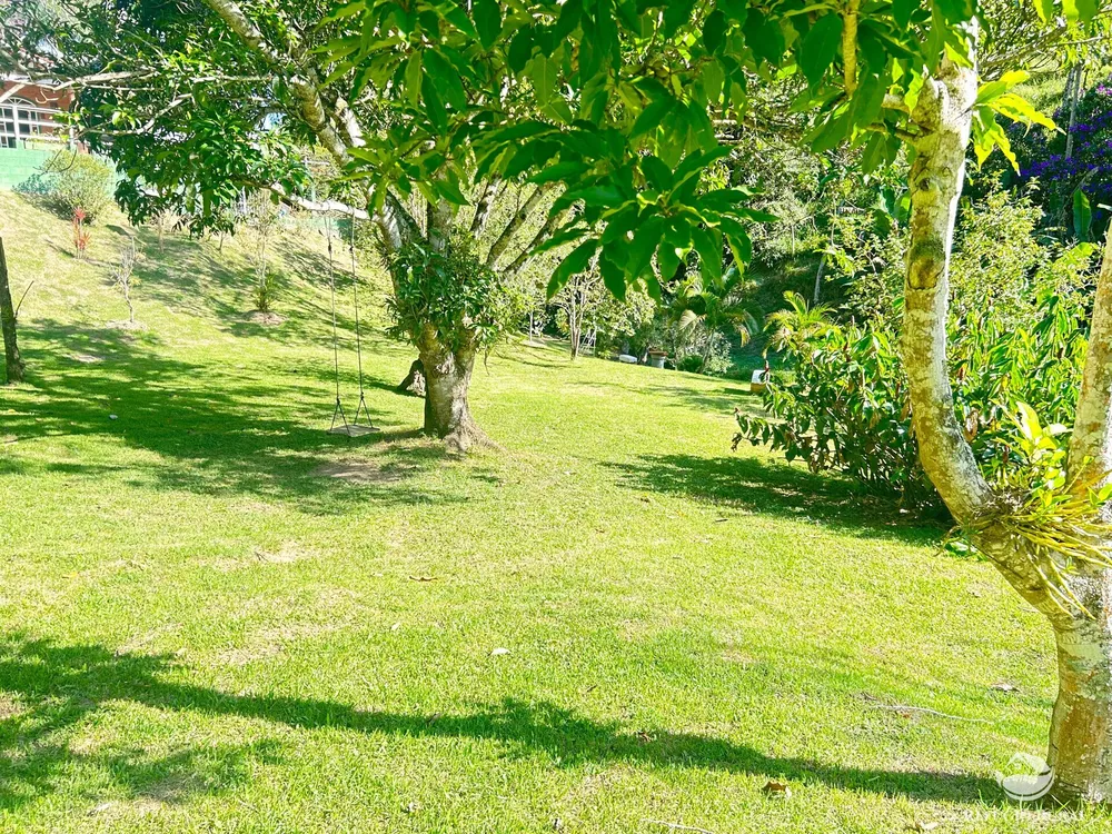 Sítio, 15 hectares - Foto 7