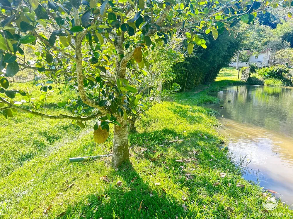 Sítio, 15 hectares - Foto 12