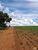 Fazenda, 87 hectares - Foto 2