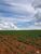 Fazenda, 87 hectares - Foto 1