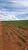 Fazenda, 87 hectares - Foto 3
