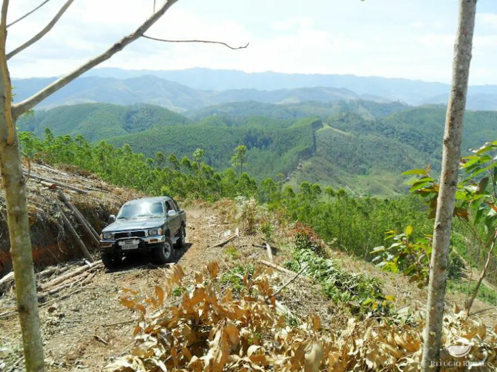Fazenda, 89 hectares - Foto 1