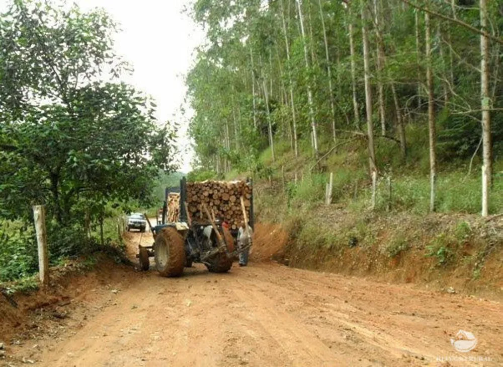 Fazenda, 89 hectares - Foto 2