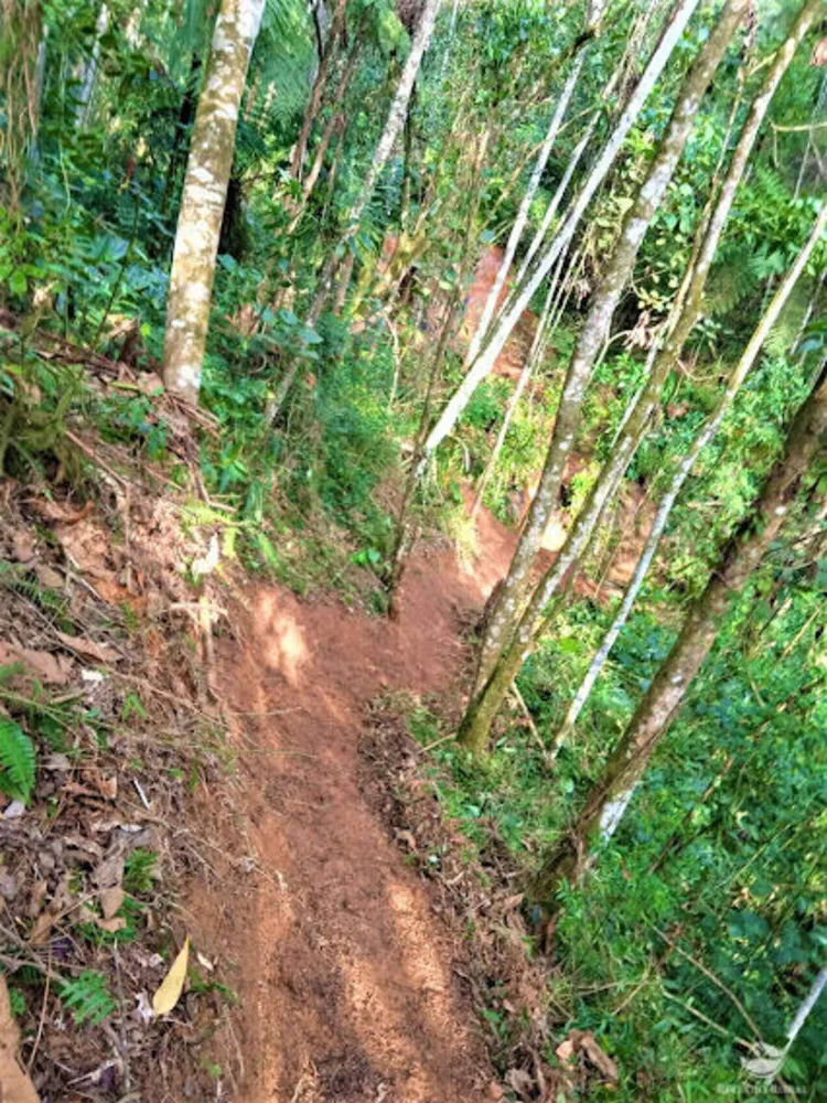 Fazenda, 89 hectares - Foto 13