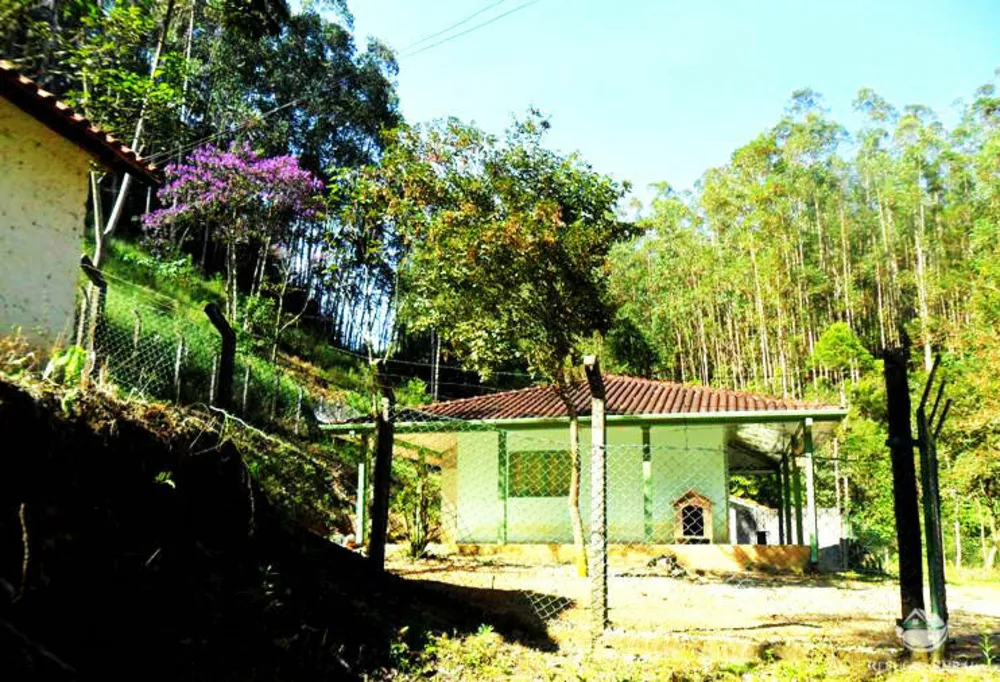 Fazenda, 89 hectares - Foto 14