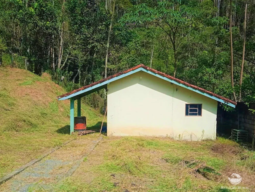 Fazenda, 89 hectares - Foto 11