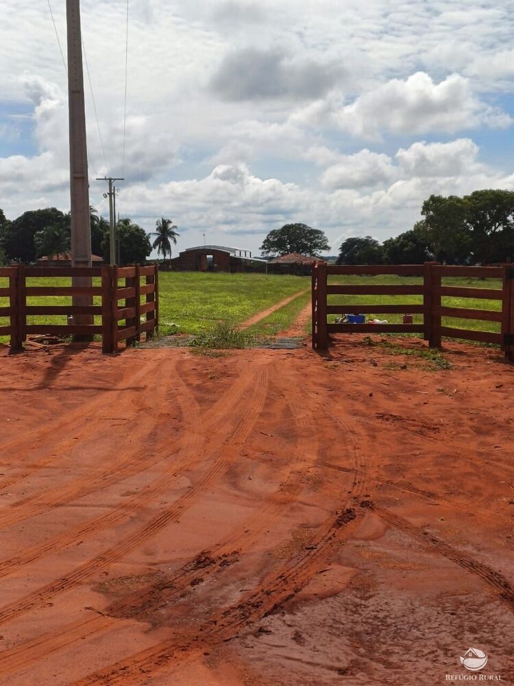 Fazenda, 317 hectares - Foto 1