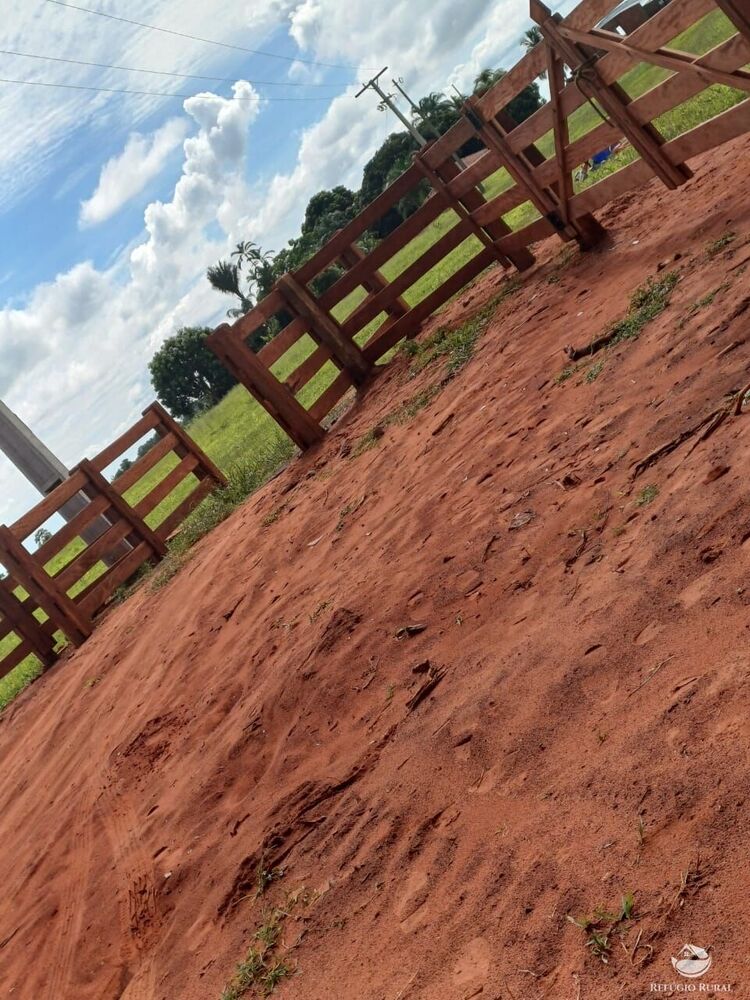 Fazenda, 317 hectares - Foto 6