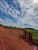 Fazenda, 317 hectares - Foto 2