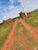 Fazenda, 317 hectares - Foto 4