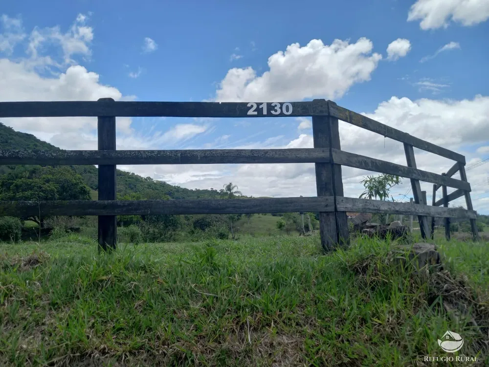Sítio, 48 hectares - Foto 10