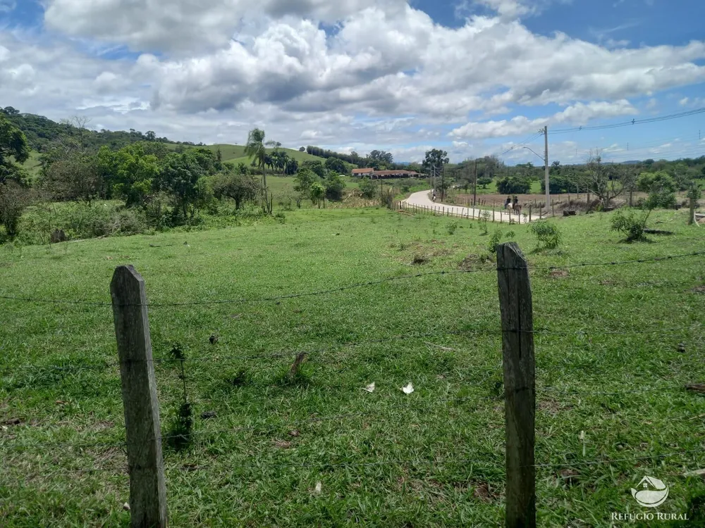 Sítio, 48 hectares - Foto 9