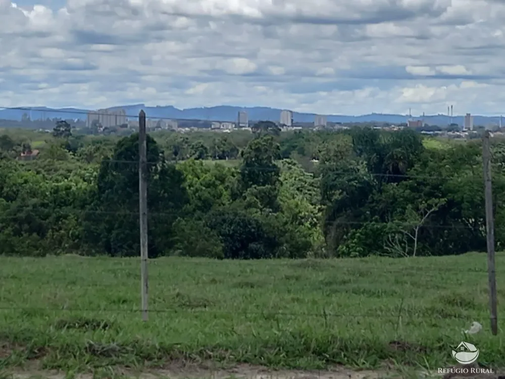 Sítio, 48 hectares - Foto 11